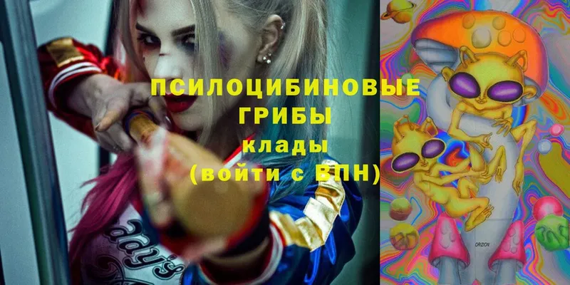 Псилоцибиновые грибы Magic Shrooms  купить  сайты  Минусинск 